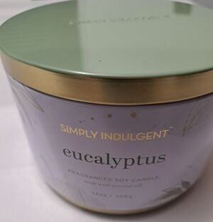 NEW Simply Indulgent Eucalyptus Soy Candle    Size 14oz.
